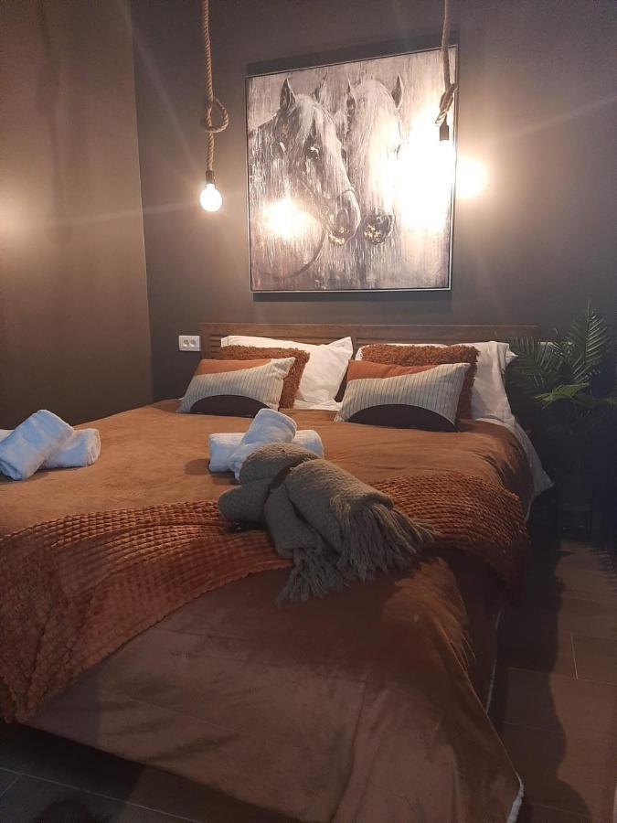Apartments Mazijini Dvori Zadar Dış mekan fotoğraf